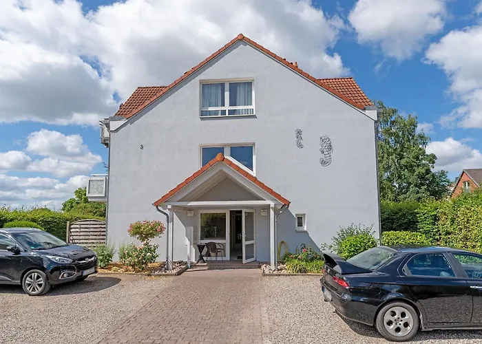 Seepferdchen Stueble